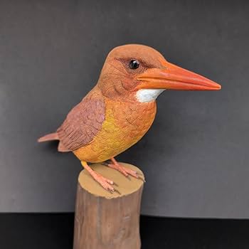 Amazon.co.jp: 赤い宝石 アカショウビン 木彫りの野鳥 野鳥彫刻